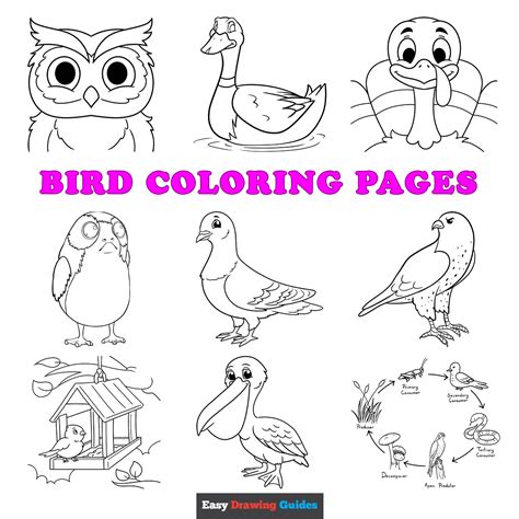 Pictures Of Birds To Color