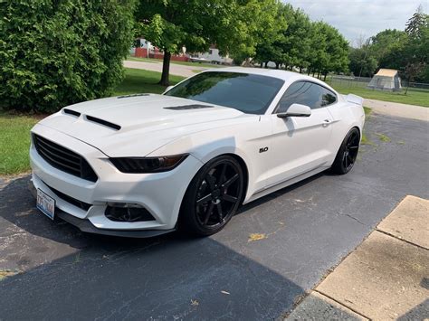 Pictures Of White Mustangs