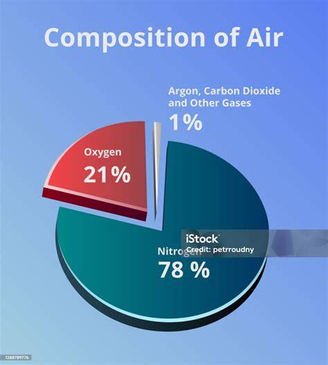 Pie Chart For Composition Of Air