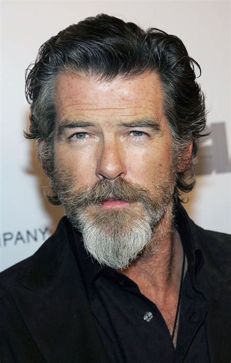 Pierce Brosnan Goatee