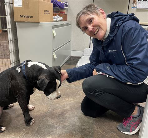 Pierce County Humane Society Volunteer