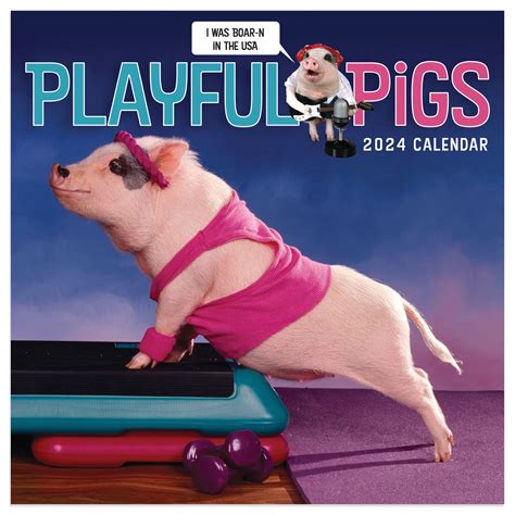 Pig Calendar 2024