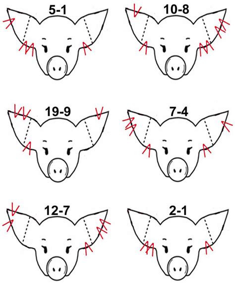 Pig Ear Notching Worksheet