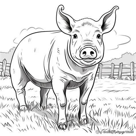 Pig Coloring Pages For Adults