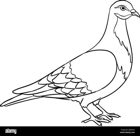 Pigeon Coloring Page