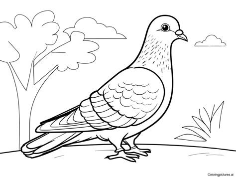 Pigeon Coloring Pages For Kid