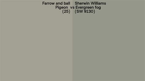 Discover the Perfect Pigeon Paint Color for Your Home - 12 words.