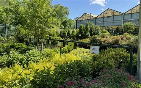 Pike Nurseries Atlanta