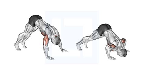 Pike Shoulder Push Up