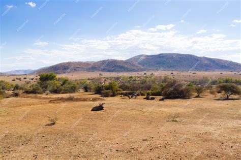 The expansive landscape of Pilanesberg National Park