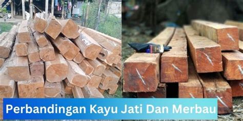 Pilih Kayu