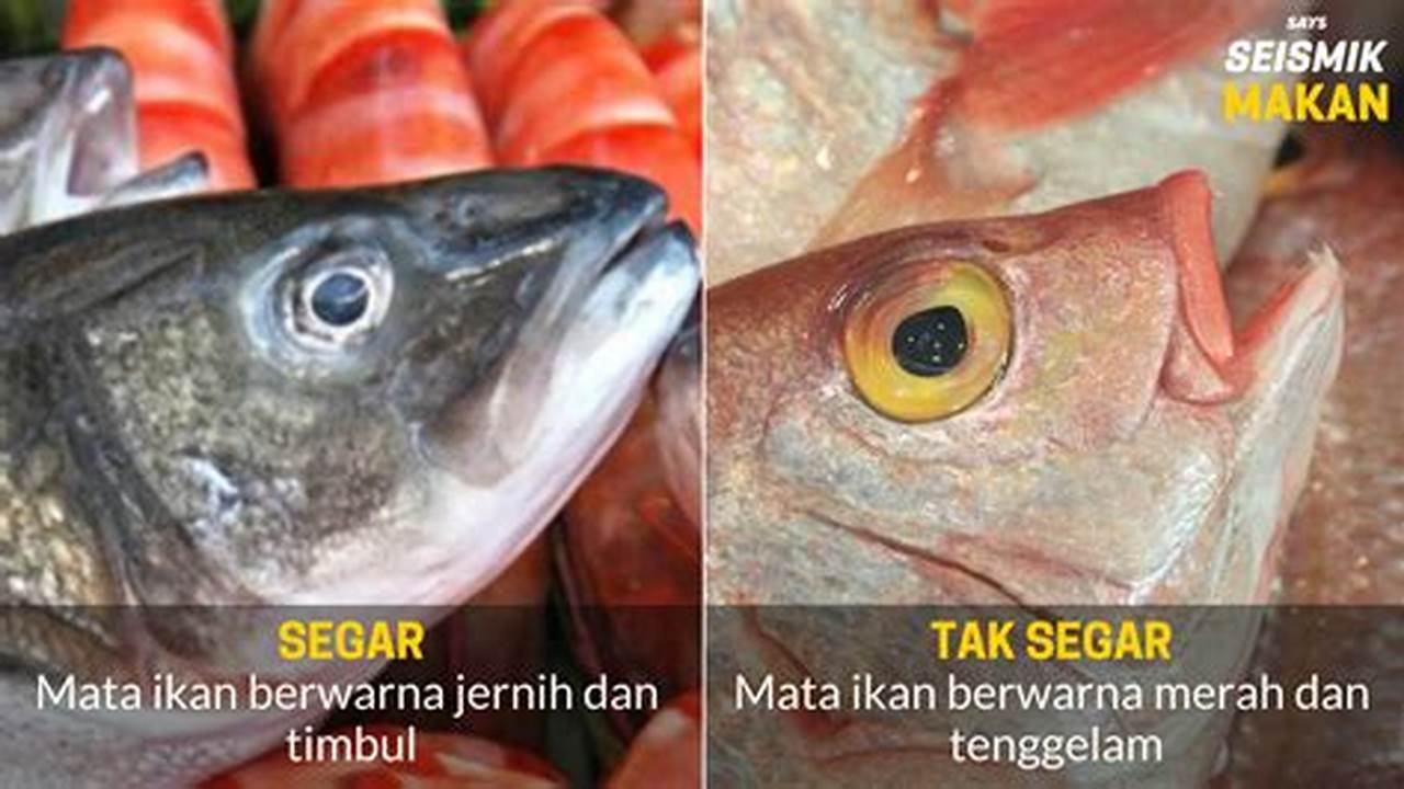 Pilih Ikan Yang Segar, Resep7-10k