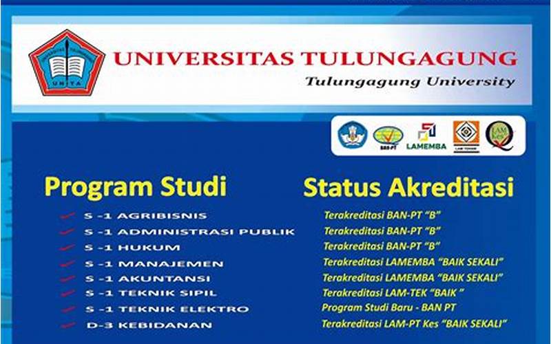 Pilihan Program