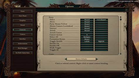 Pillars of Eternity II accessibility and controls