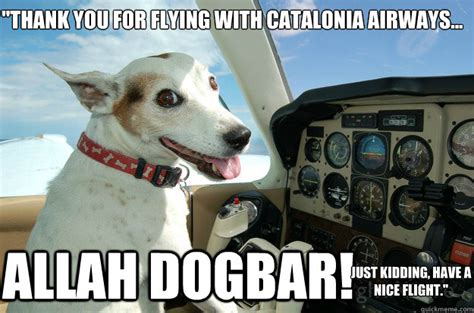 Pilot Dog memes quickmeme