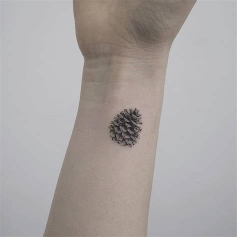 Pin on Pine Cone Tattoo