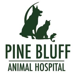 Pine Bluff Animal Hospital | Top-Quality Vet Care for Your Furry Companions