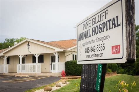 Pine Bluff Animal Hospital: Your Trusted Veterinary Care Partner in Morris, IL