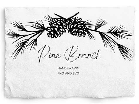 Discover the Beauty of Nature with Elegant Pine Branch Svg Designs for Your Creative Projects