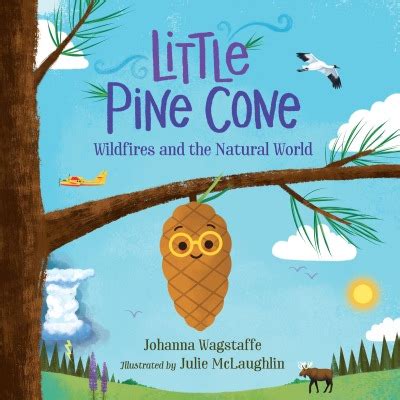 Pine Cone Placed Atop Books