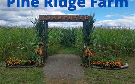 Pine Ridge Farms