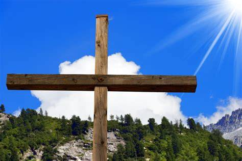 Pine Tree Crosses At Easter