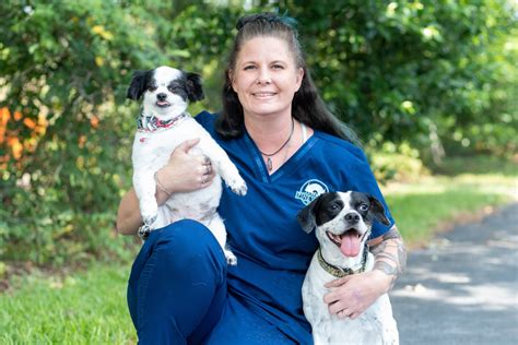 Exceptional Veterinary Care at Pine Valley Animal Hospital in Wilmington, NC - Trusted and Compassionate Services for Your Beloved Pets