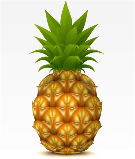 Download Pineapple Commercial Use Free PSD Mockups