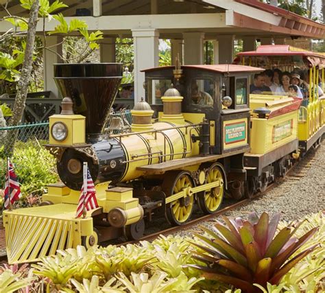 Pineapple Express Train Tour
