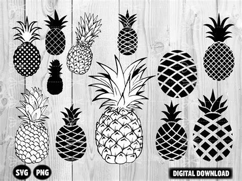 svg graphic