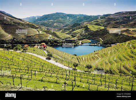 Pinhao Douro Valley Landscape
