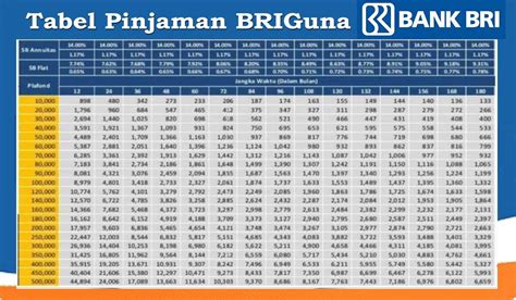 Pinjaman Bank BRI