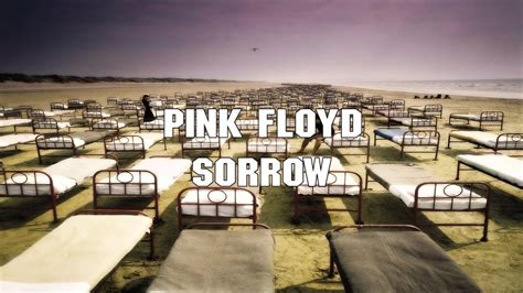 Pink Floyd Sorrow Lyric