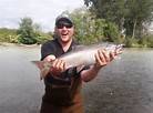 Pink Salmon in Puyallup River