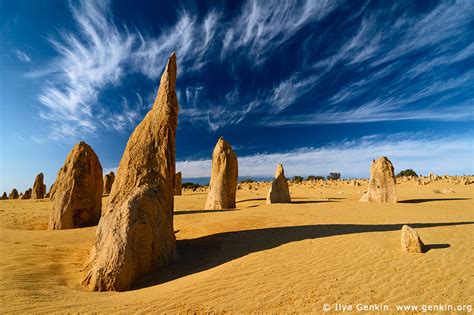 Pinnacles Desert landscape