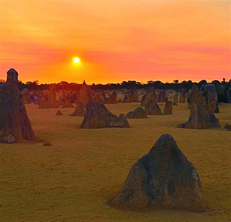 Pinnacles Dinner Under Stars