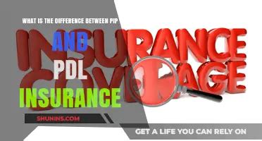 Pip And Pdl Insurance