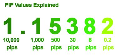 Pip Values