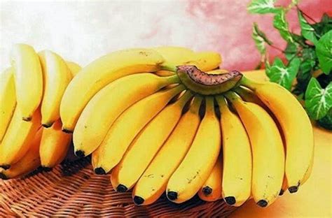 manfaat pisang untuk pencernaan