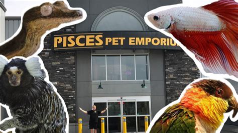 Pisces Pet Store