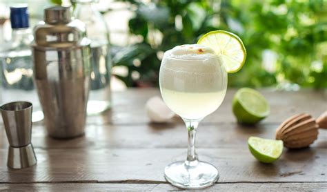 Pisco Beginners Guide