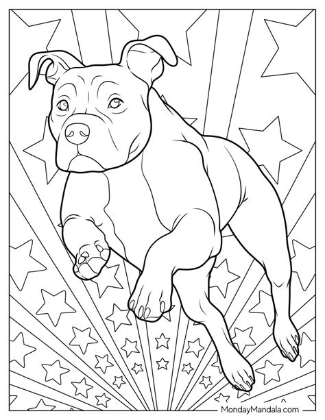 Pit Bull Coloring Page