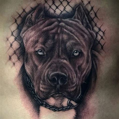 Pit Bull Tattoo