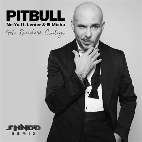 Pitbull Ne Yo   Me Quedar Contigo ft Lenier El Micha