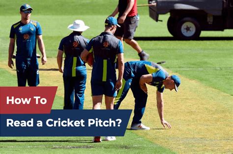 Cricket Pitch Conditions Type of cricket pitch Crictaka