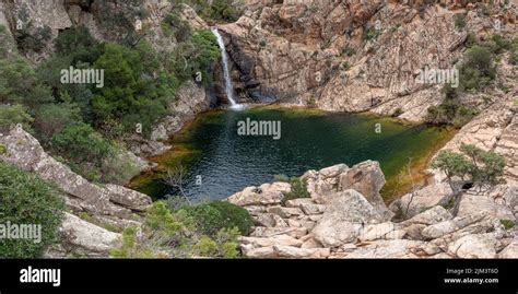 Pitrisconi Photography