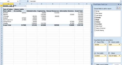 Pivot Tables For Dummies 2010