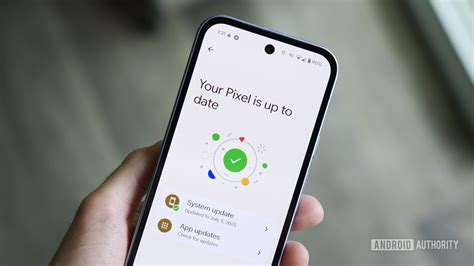 Pixel 6 software