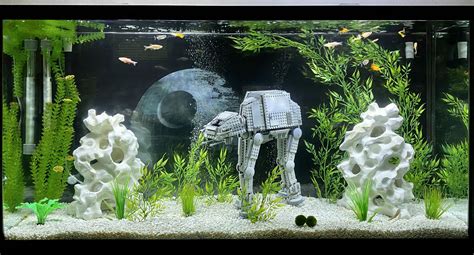 Placement and Arrangement of Star Wars Fish Tank Decor