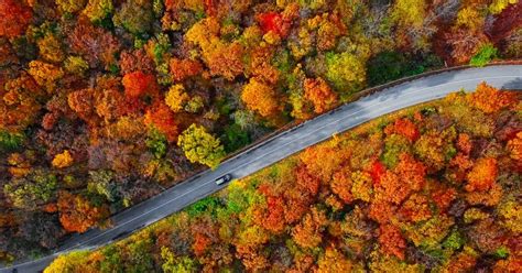 Places To Go For Fall Colors Near Me